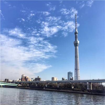 我叫mt2果盘版下载