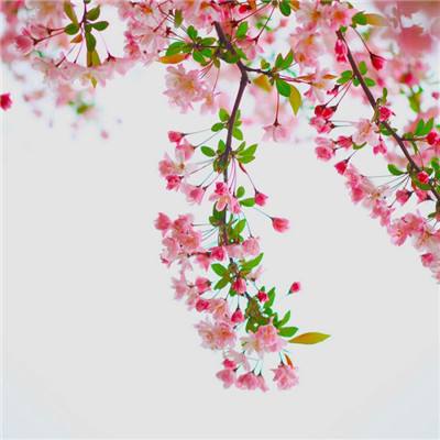 天空编年史公测版下载