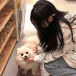 正三国百度版本下载